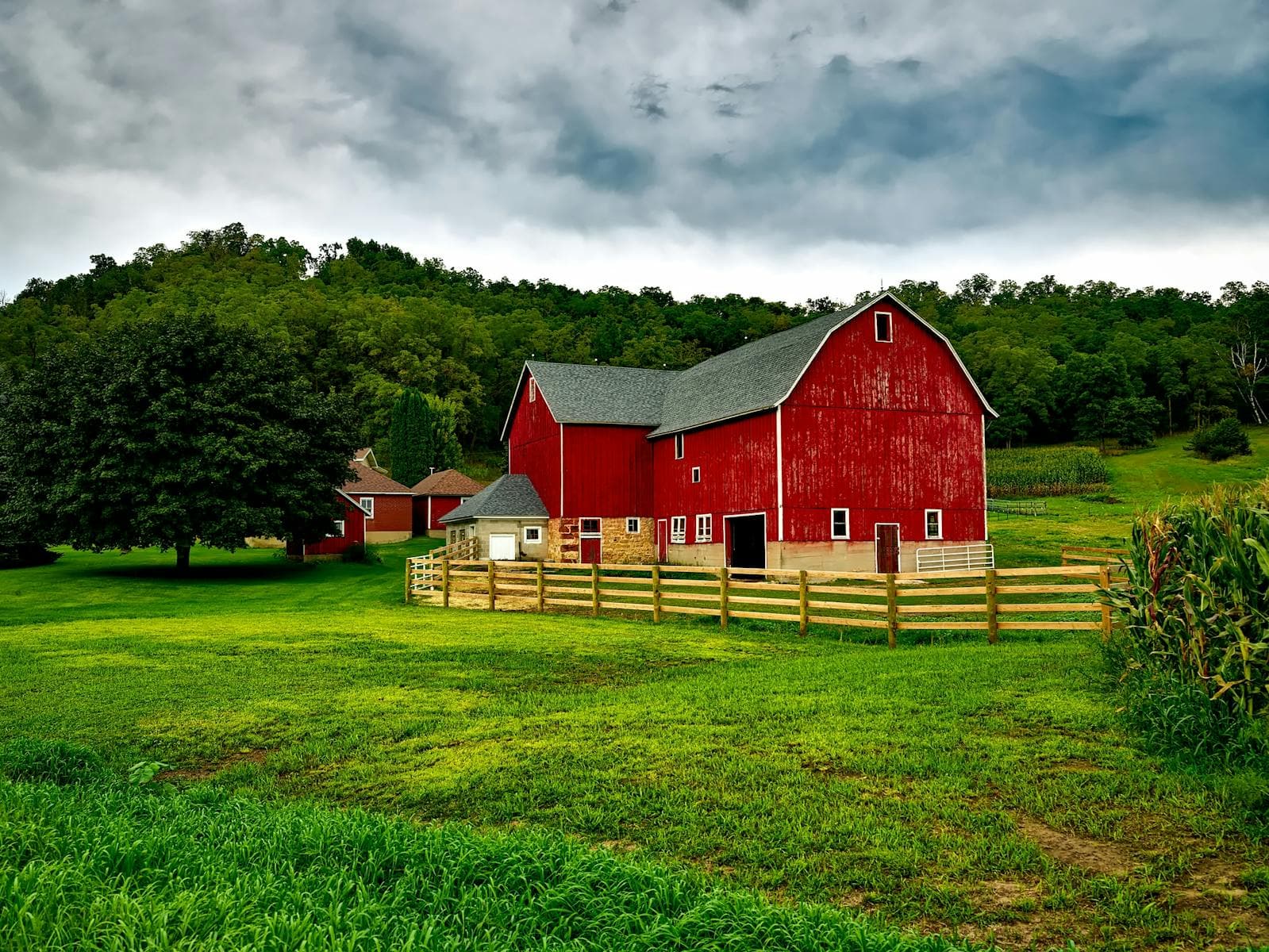 Agrellus Trial Grants: On-Farm Data for Ag Input Makers—Winners and Runners-Up Alike