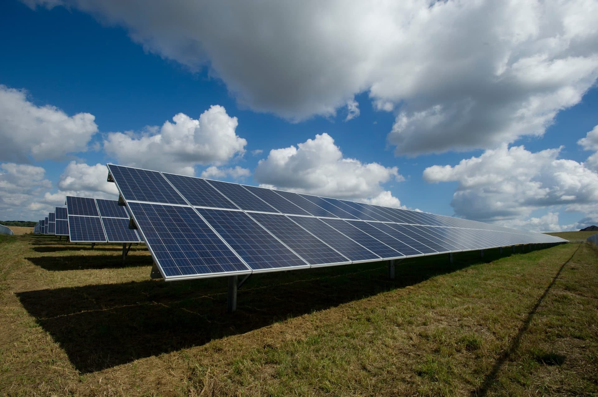 What can your business do to help save the planet?