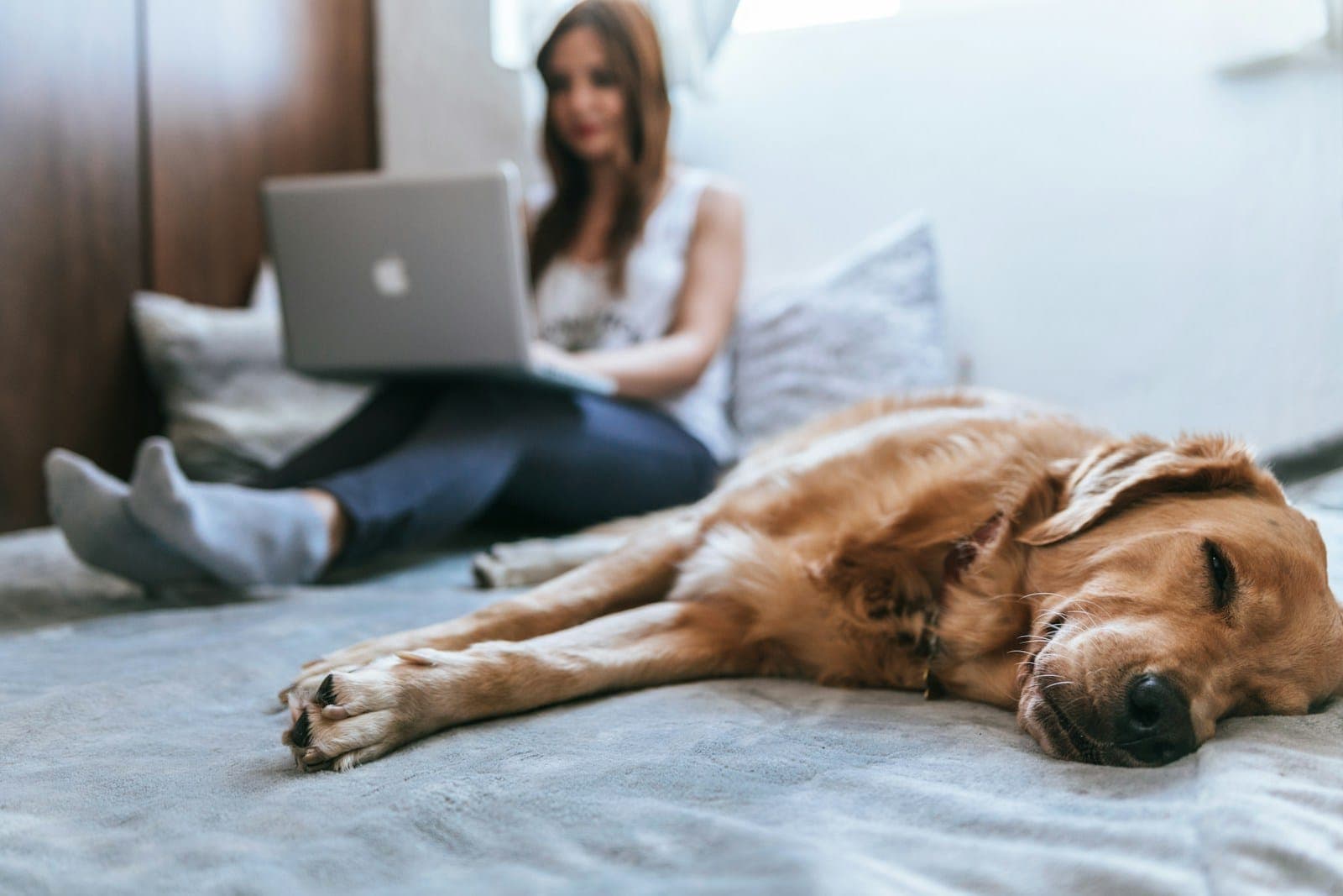 5 Steps to Transform a £20k ISA into £343 Monthly Income