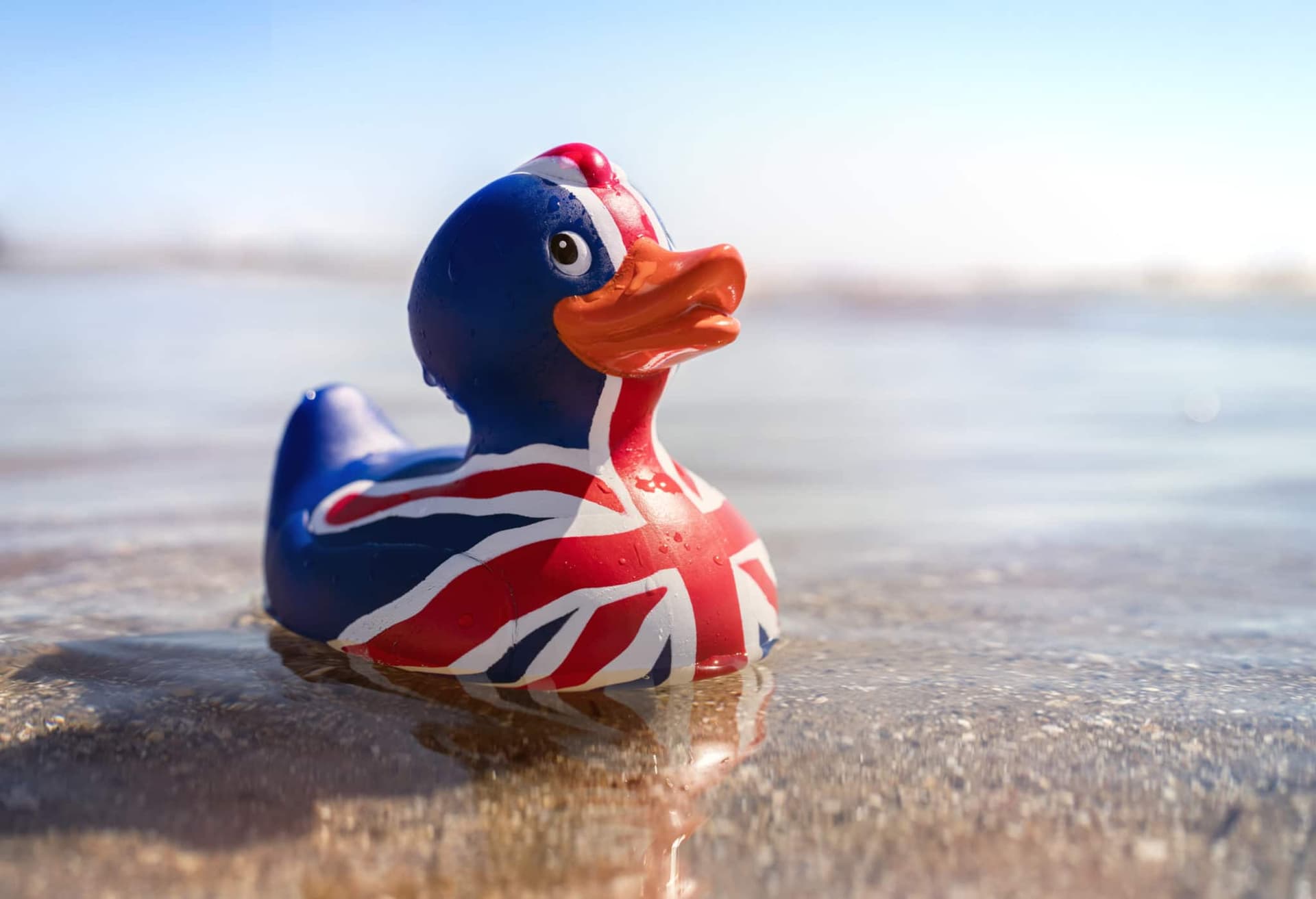 British flag rubber duck