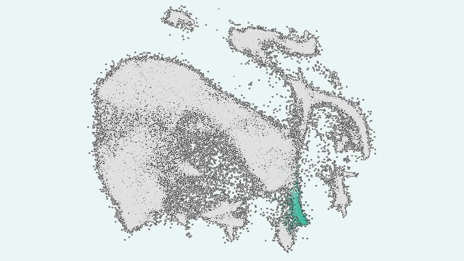 Single-cell sequencing map of immune cells, with a cluster of antigen-presenting cells highlighted in teal