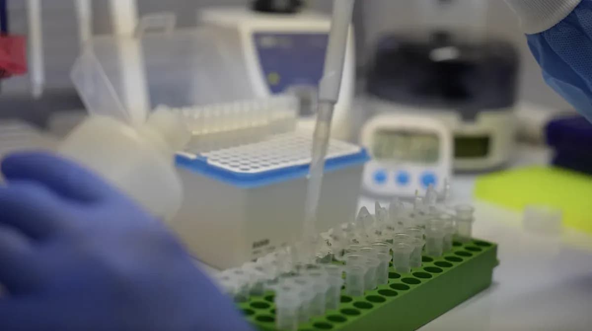 lab4