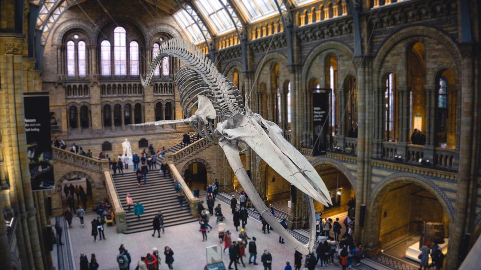 Directional Audio Powers Visitor Engagement Surge in Cultural Spaces
