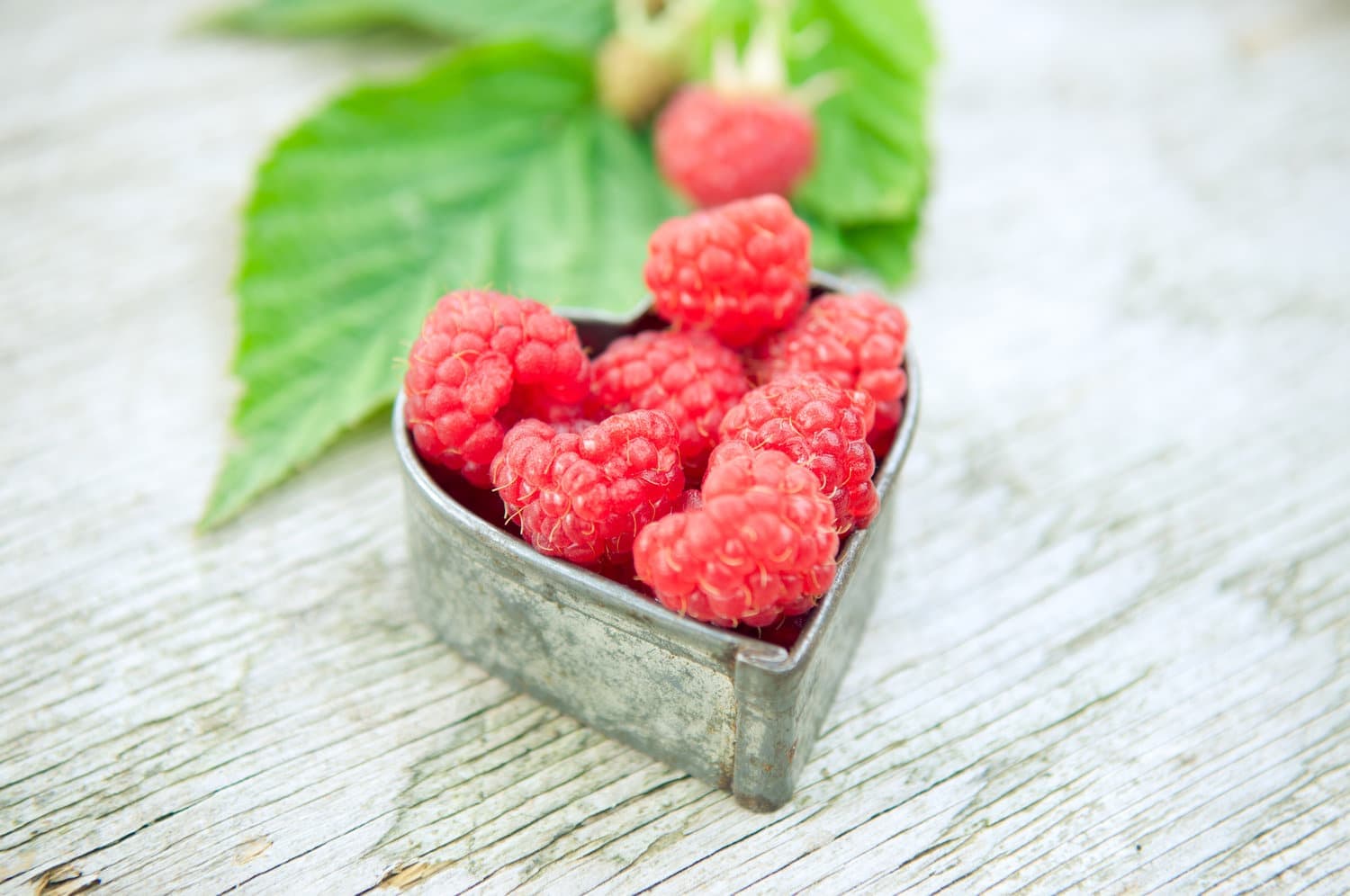 Raspberries