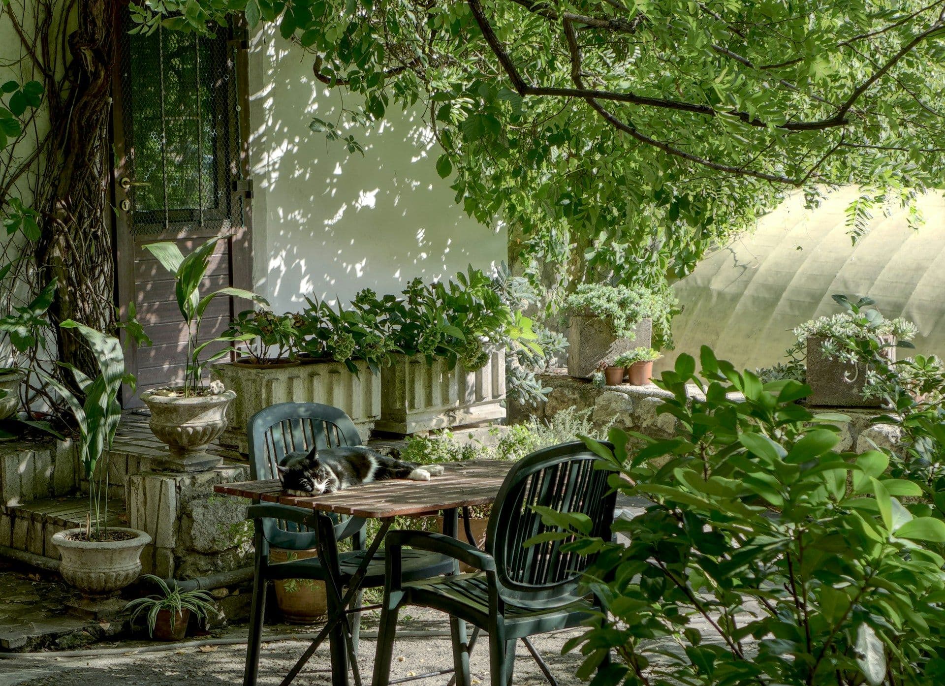 Gardening- building a relationship with the Earth