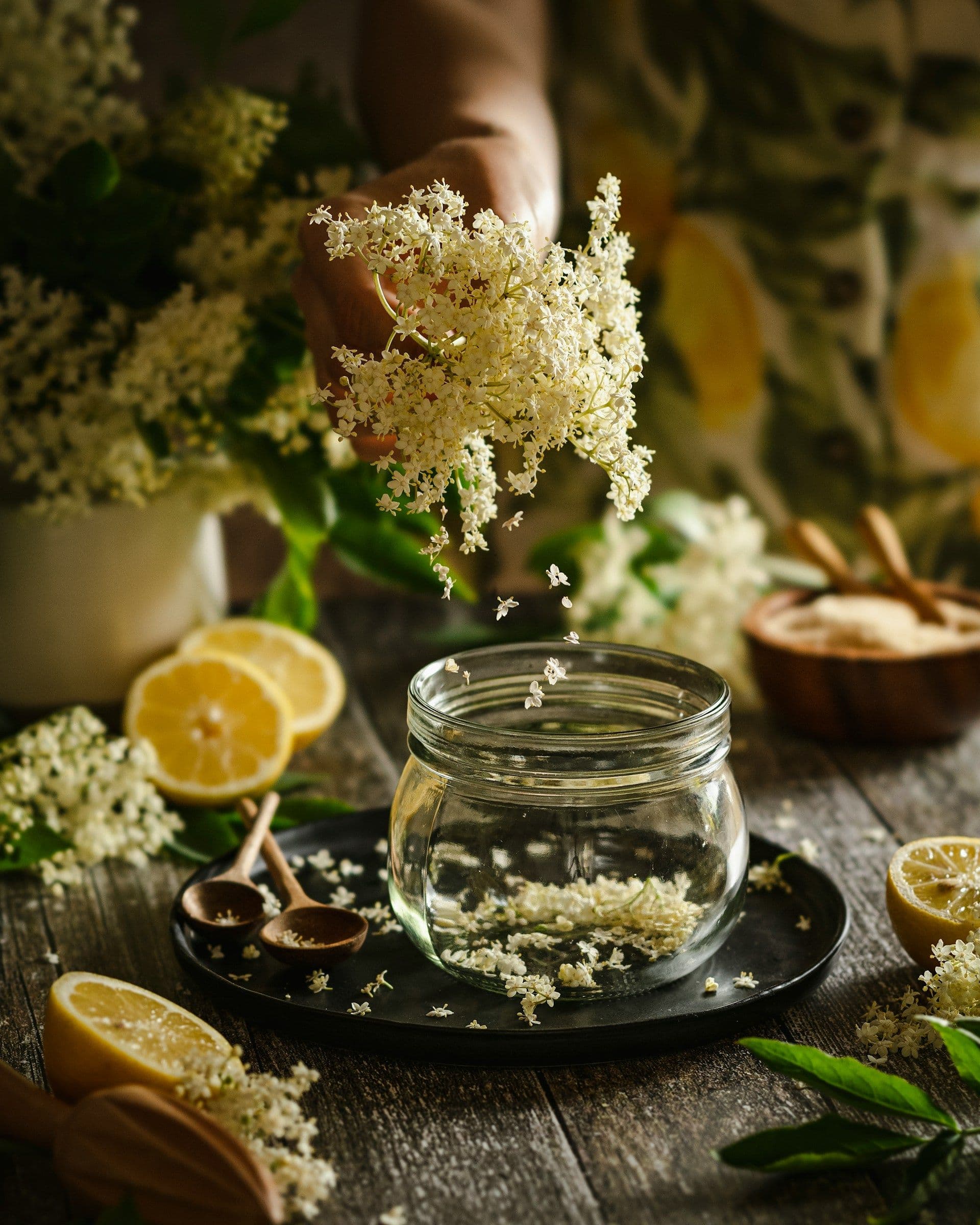 How to make  elderflower cordial from foraged elderflowers