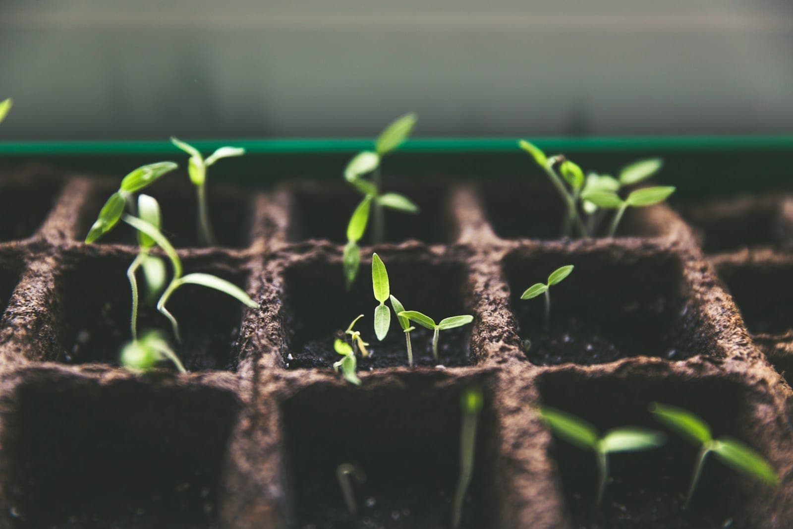 How to Diversify Your Investment Portfolio: AI Stocks with Long Term Potential