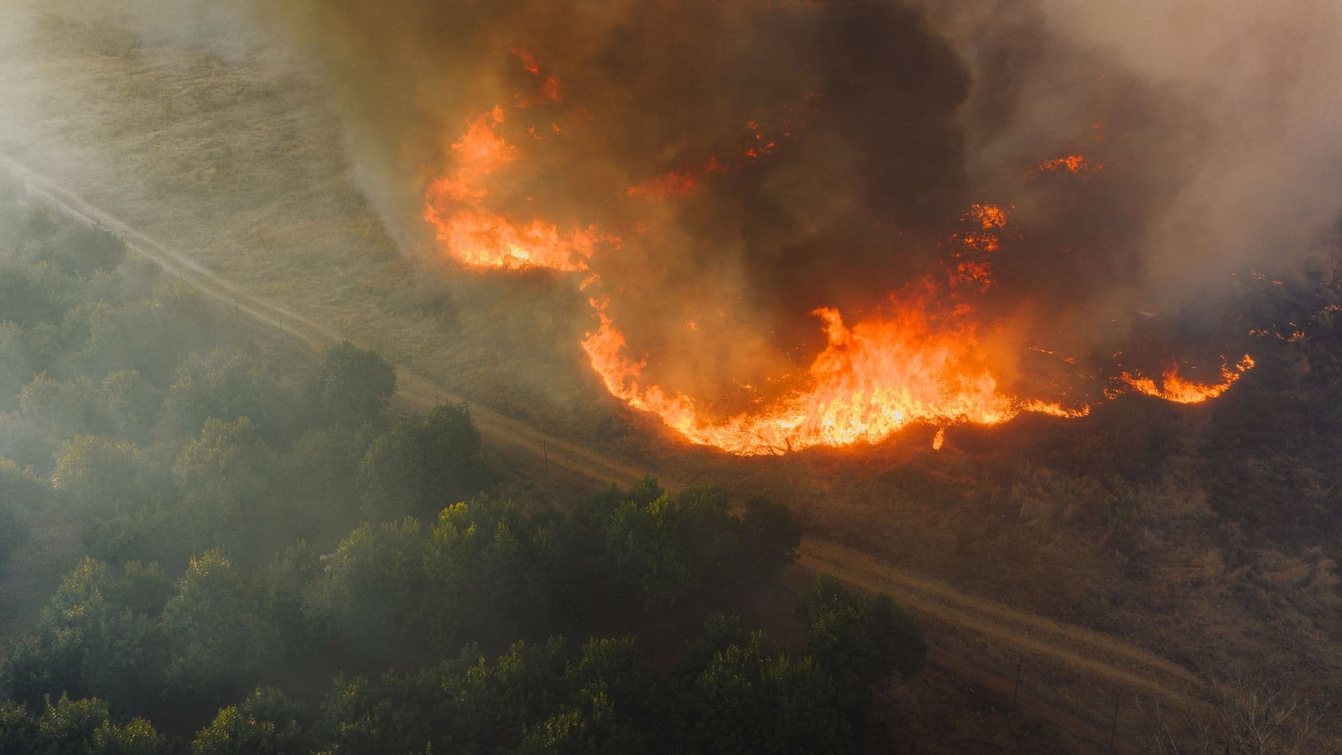 An aerial view of a wildfire burning through forest, with flames and a large smoke plume.