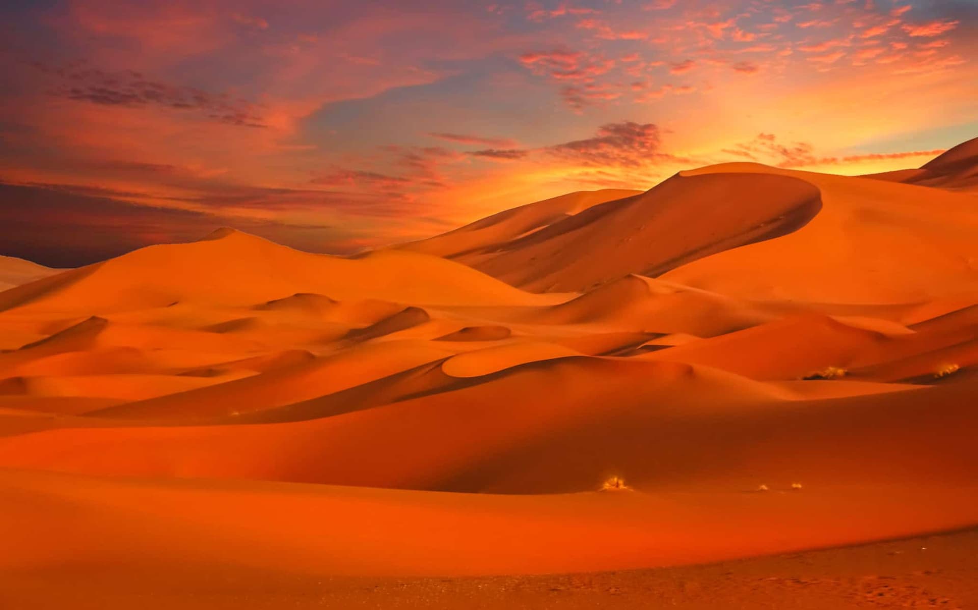 Stunning sand dunes of Sahara Desert