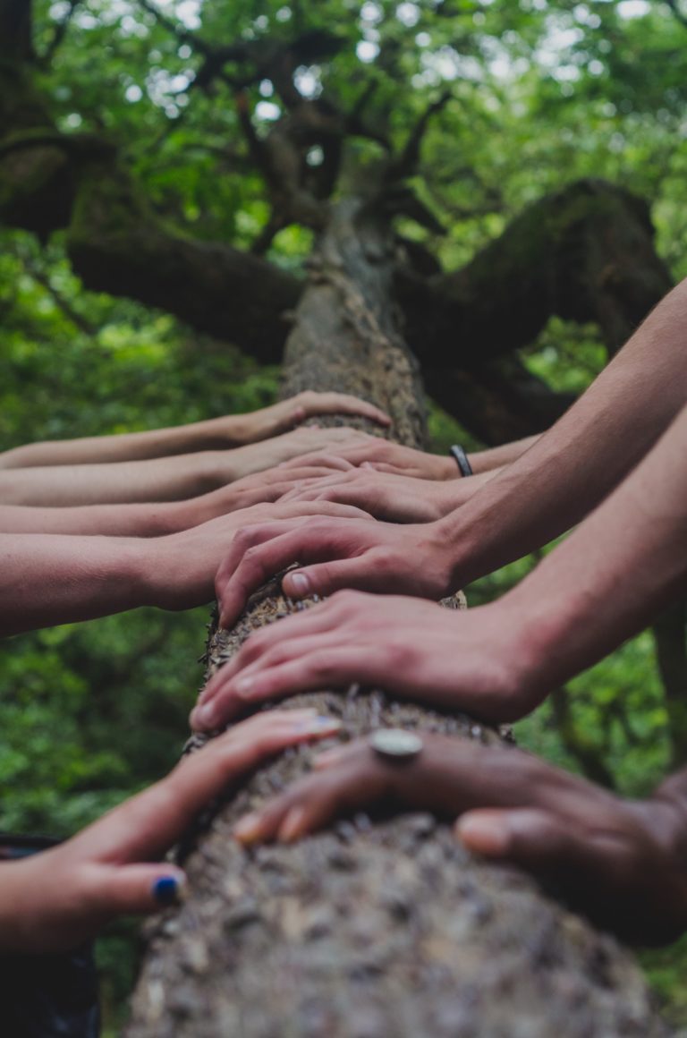 Learn to Move Mountains: Design Thinking is an Essential Skill 4 Sustainability is of the utmost importance, and young people are gaining an understanding of that. Elaine France introduces us all to design thinking, and how it could change the world.