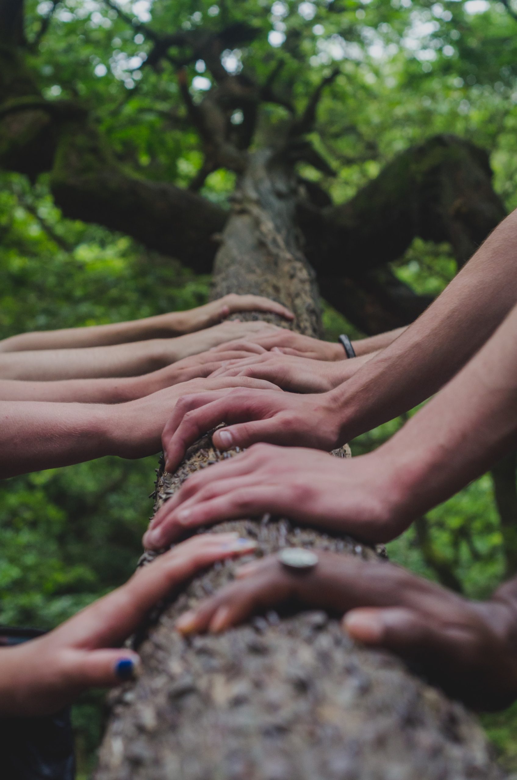Learn to Move Mountains: Design Thinking is an Essential Skill 1 Sustainability is of the utmost importance, and young people are gaining an understanding of that. Elaine France introduces us all to design thinking, and how it could change the world.