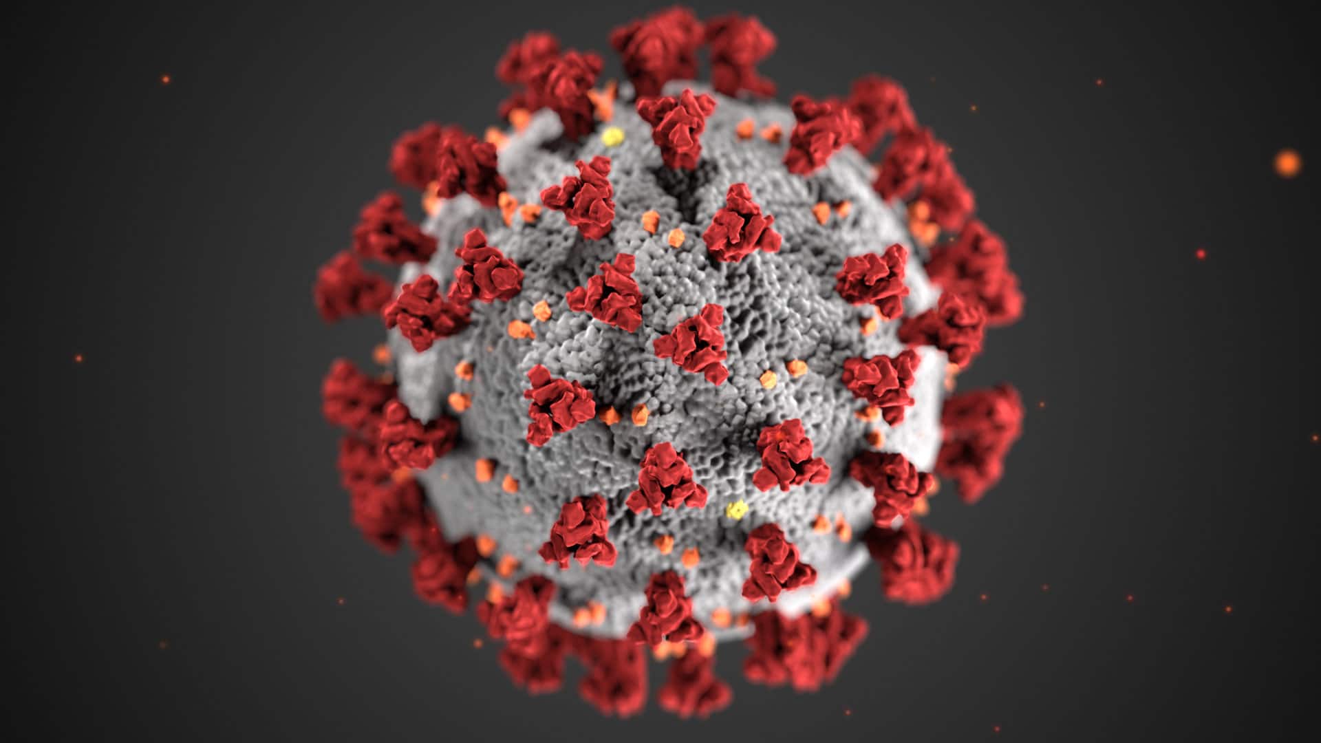 Tackling Coronavirus: EU Commission offers funding for startups in effort to stop pandemic 1 In an effort to fight the spread of the Coronavirus, the EU Commission is offering funding to startups through it's EIC Accelerator pilot.