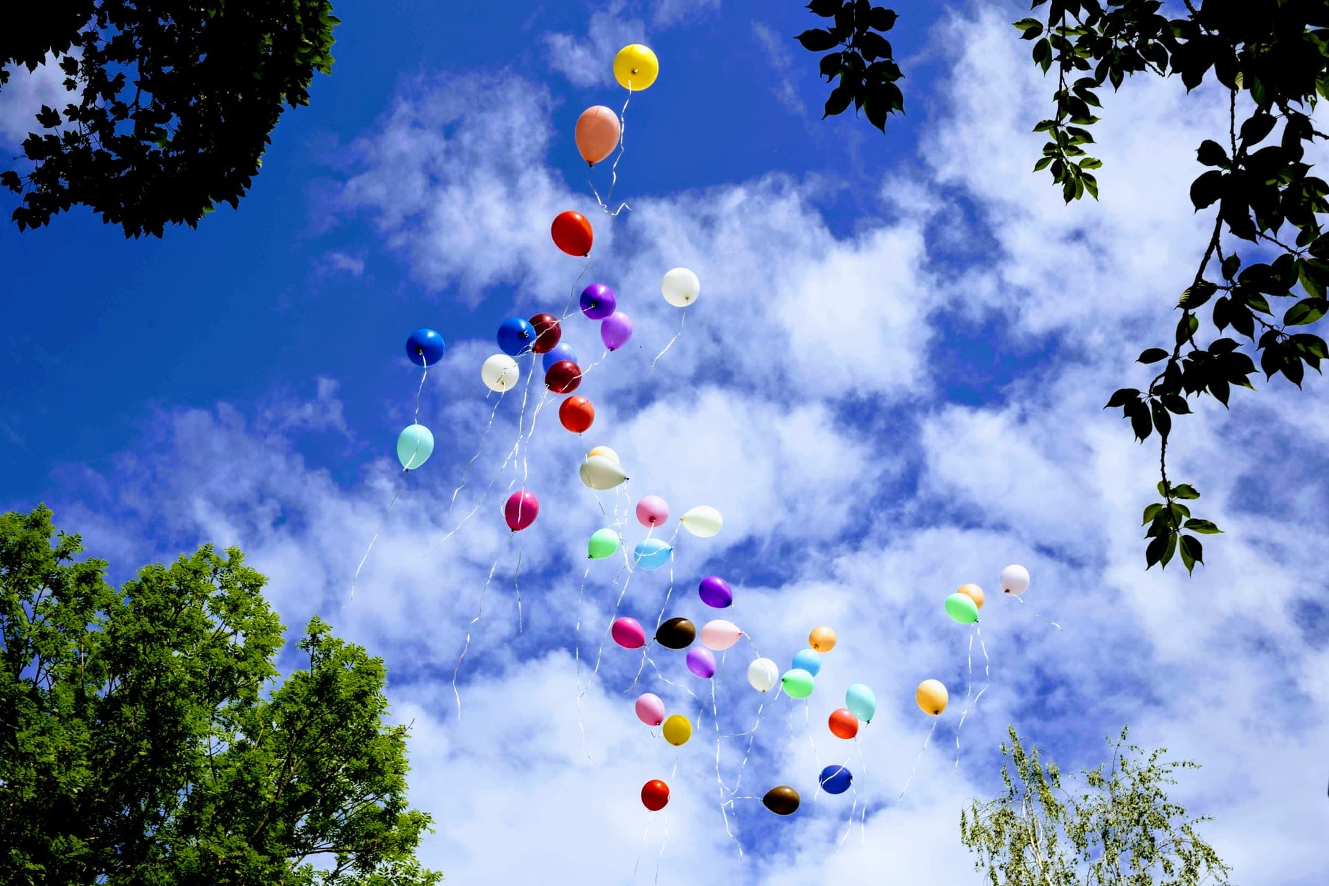 8 Tips For Hosting An Amazing Outdoor Event After Lockdown 1 what are your plans for the next outdoor event?