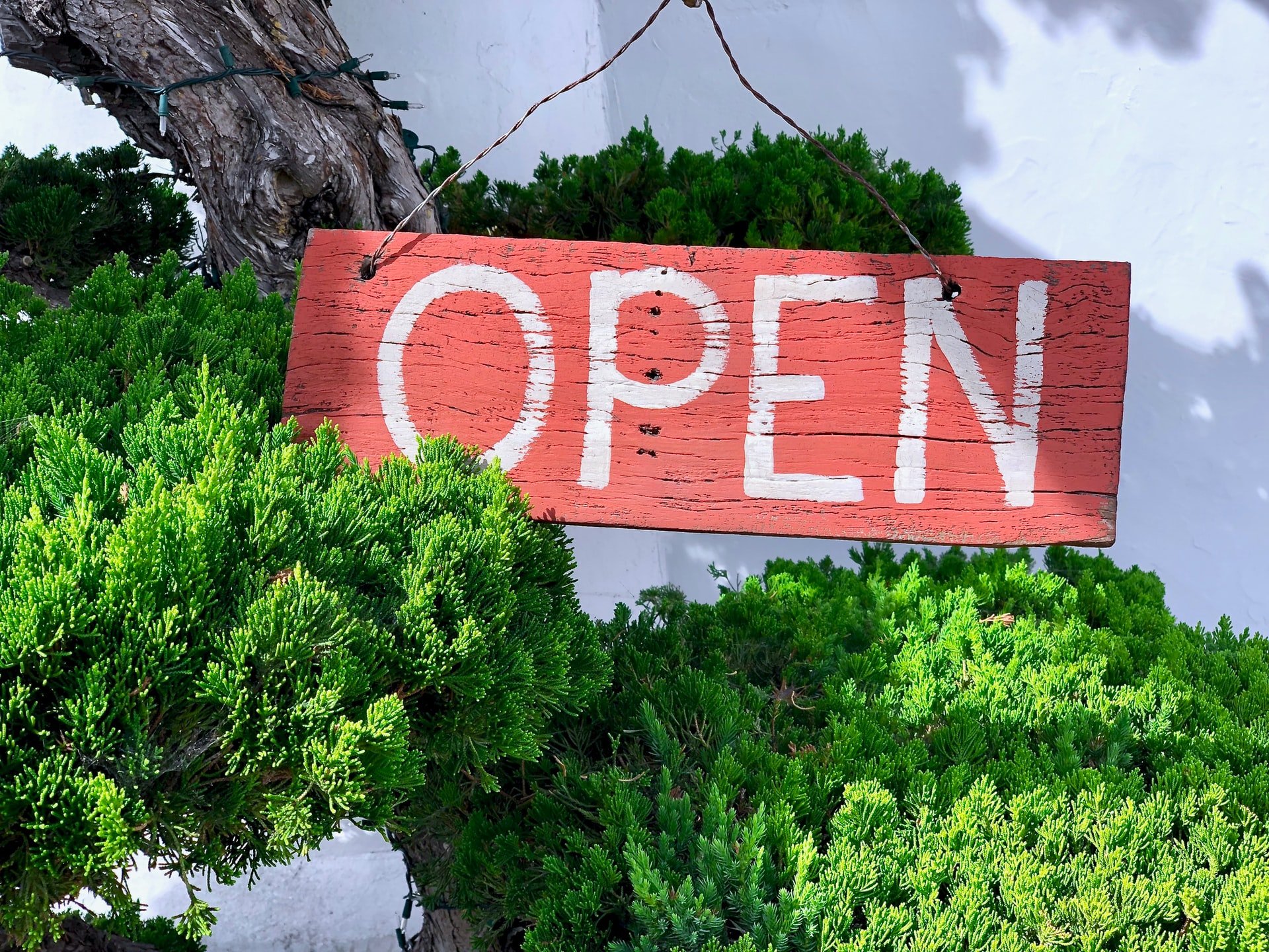 4 Steps To Successfully Bounce Back Your Business After A Pandemic 1 what is going to bring business success during bounce back?