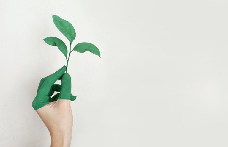 By making their workplaces more environmentally friendly, more and more businesses are committing to making less of an impact on the environment. This means putting in place policies and programmes that encourage people to act in green ways.