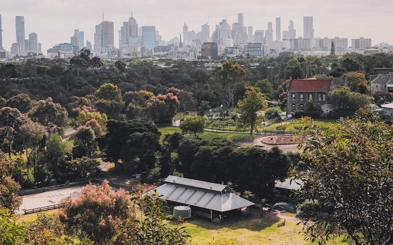 green trees and city buildings during daytime