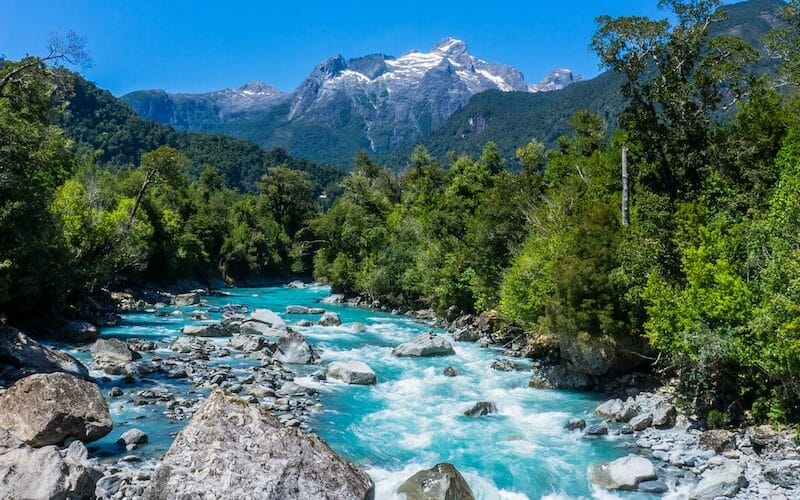 green trees near river under blue sky during daytime