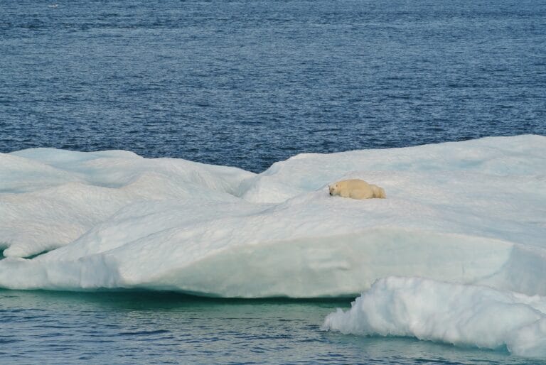 white ice on body of water during daytime