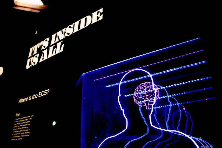 Beyond Gut Instinct: How to 're-prompt' our brains, according to a Neuroscientist 5 a neon display of a man's head and brain