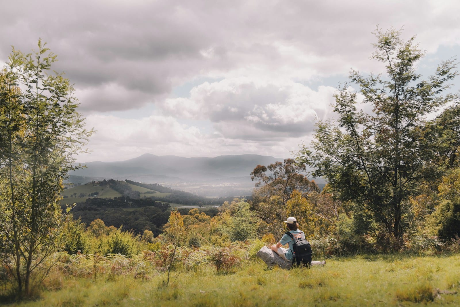 Put Nature First With The Mitigation Hierarchy 1 a person sitting on a bench in a field