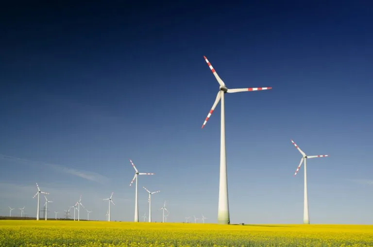 Clean Energy and AI Drive Surge in Accessible Cloud Mining Solutions 8 windmills on grass field at daytime