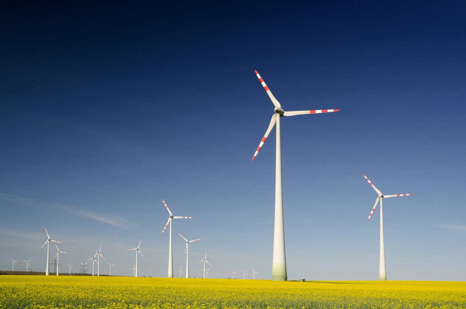 Clean Energy and AI Drive Surge in Accessible Cloud Mining Solutions 1 windmills on grass field at daytime