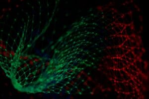 European Retail Supply Chain Software Market Surges As Digital Integration Accelerates