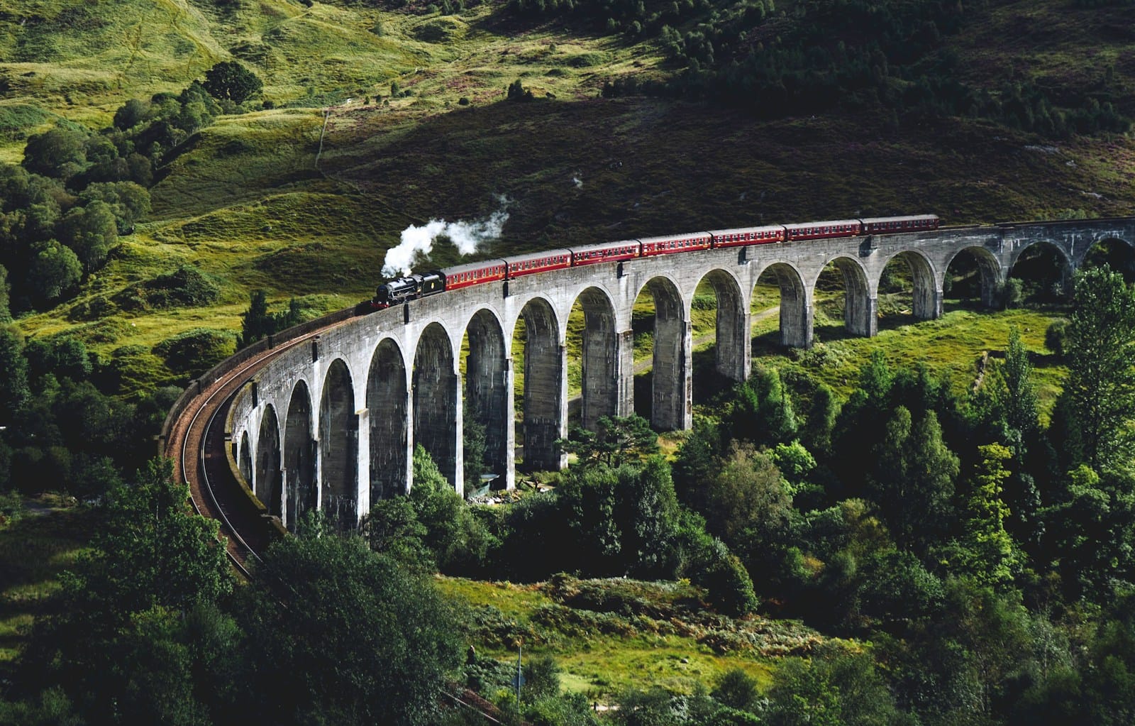 Carbon Management: Why Audit-Ready Emissions Data Is Becoming a Boardroom Priority 1 train on bridge surrounded with trees at daytime
